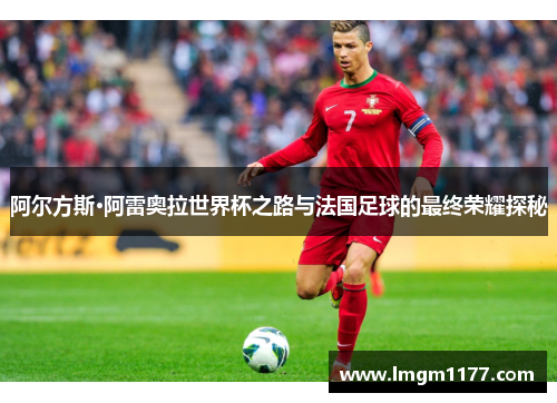 阿尔方斯·阿雷奥拉世界杯之路与法国足球的最终荣耀探秘