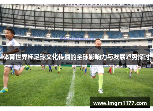 体育世界杯足球文化传播的全球影响力与发展趋势探讨
