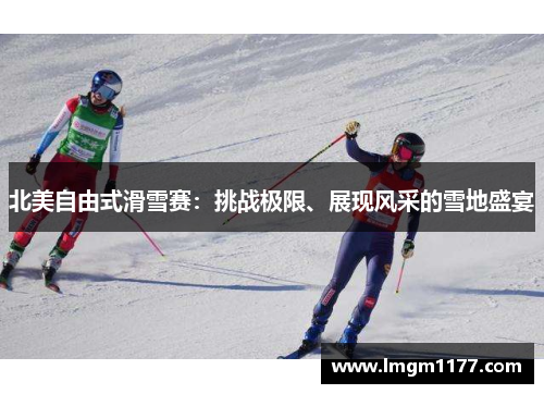 北美自由式滑雪赛：挑战极限、展现风采的雪地盛宴